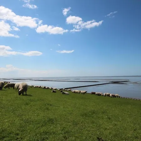 Feriehus Bis 5 Personen Ohne Hund Norden