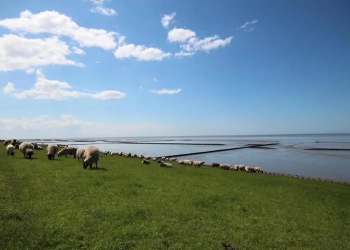 Feriehus Bis 5 Personen Ohne Hund Norden